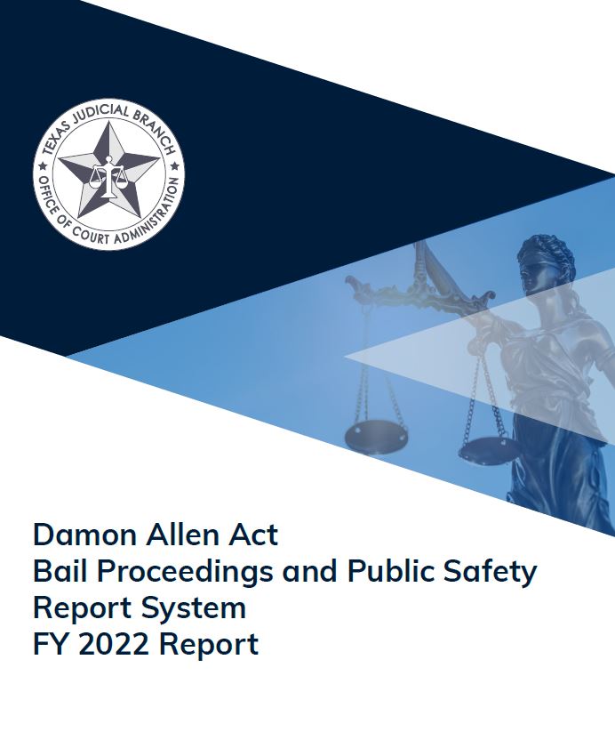 Icon (2022 Bail Report Cover)