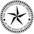 Icon (12th COA Seal)