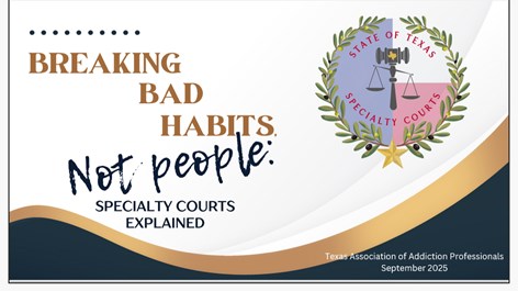 Bexar County Veterans Court team members